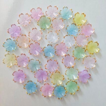 Multicolored Blossom Flowers